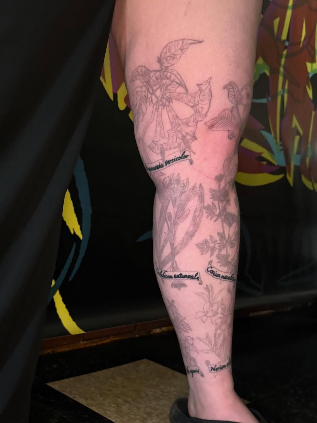 Like Tats?