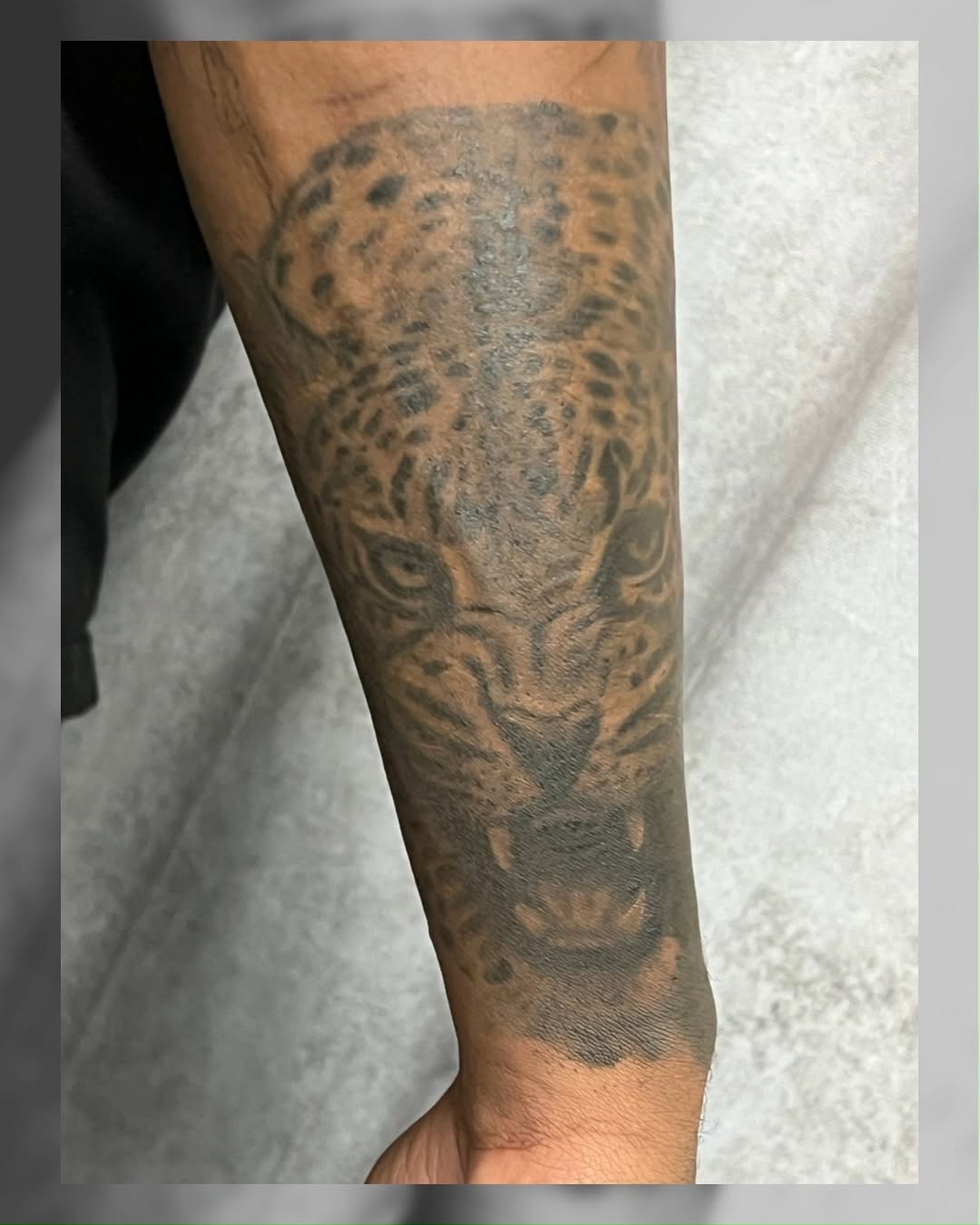 Healed Leopard done by Jesse Neese